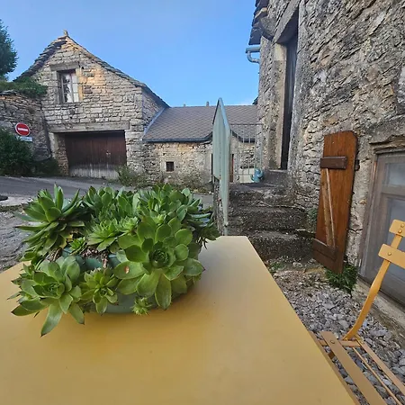 Charmante Maison Caussenarde